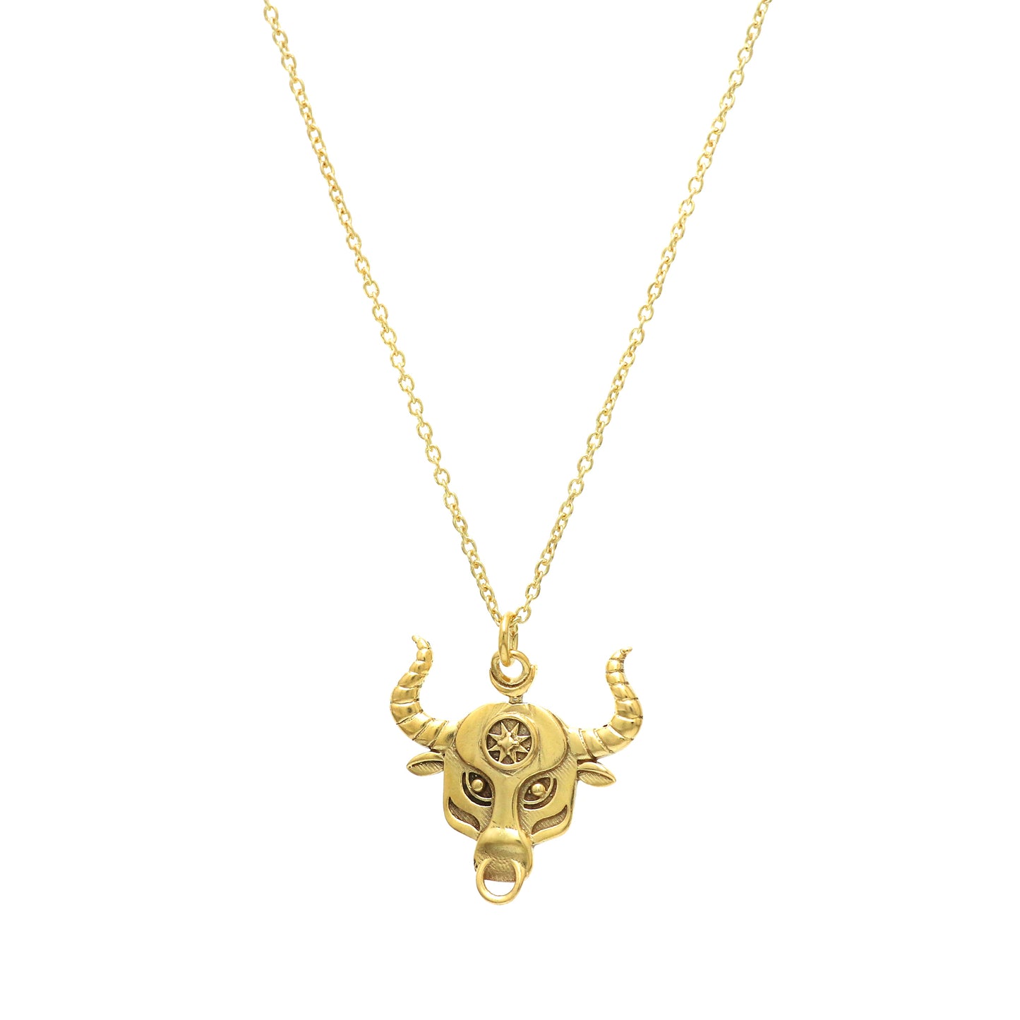 Taurus Zodiac Sign chain necklace with Bull Symbol charm